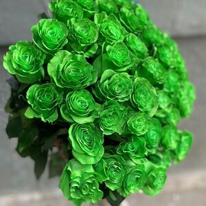 Букет из 25 ярко-зеленых роз 70 см
