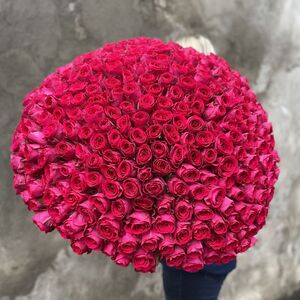 Букет 303 розы Эквадор