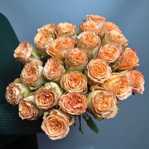 25 Пионовидных роз Кантри Хоум
