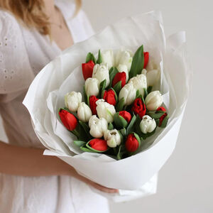 27 красно - белых тюльпанов